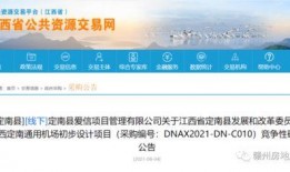 定南最新爆料,揭秘神秘事件背后的真相